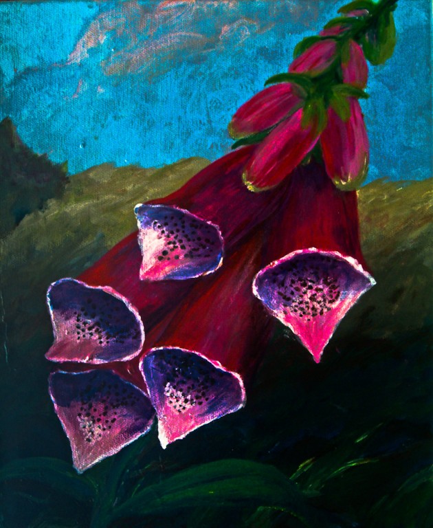 Foxglove - Canuig