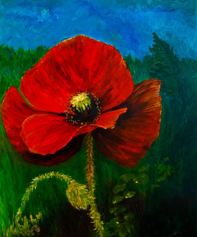 Poppey - Ballinskelligs