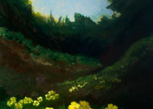 Primroses - Reen Beach