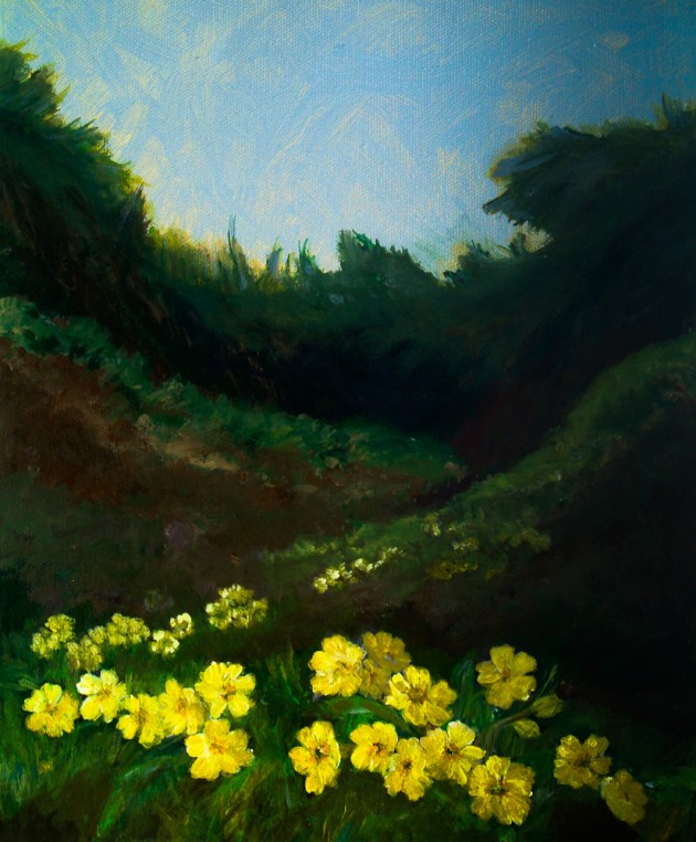 Primroses - Reen Beach