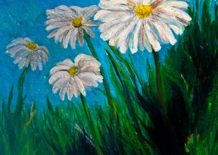 Sea Mayweed - Reen2