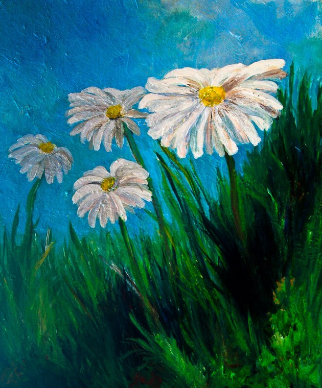 Sea Mayweed - Reen2