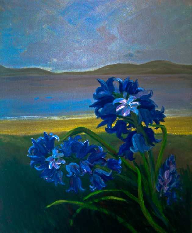 Spanish Blubells - Ballinskelligs